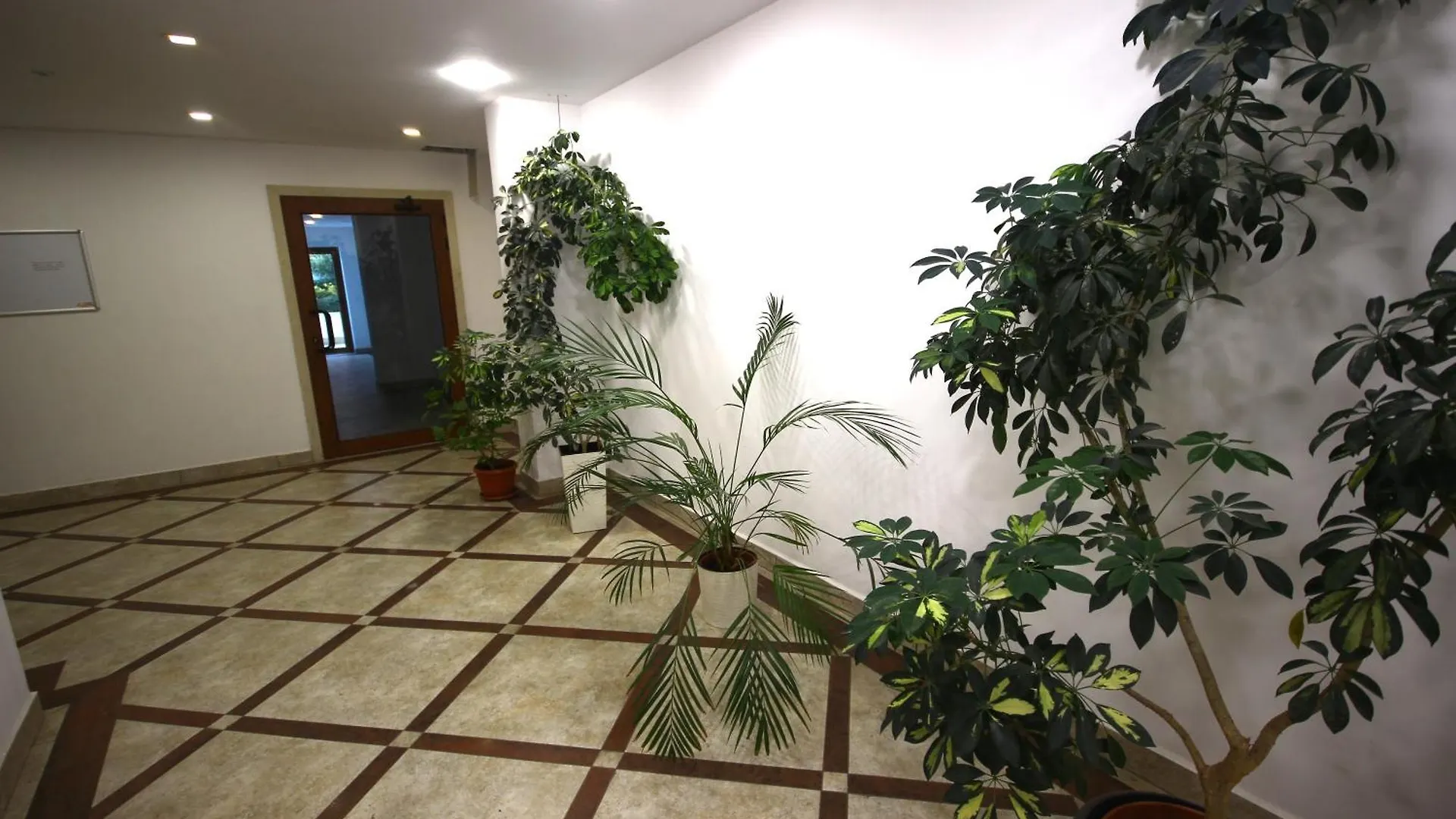 Sofia Central Luxury Apartment 