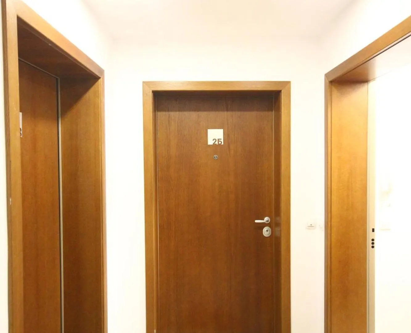 Sofia Central Luxury Apartment 
